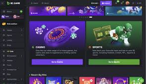 Ultimate Guide to Stake Login India Everything You Need to Know